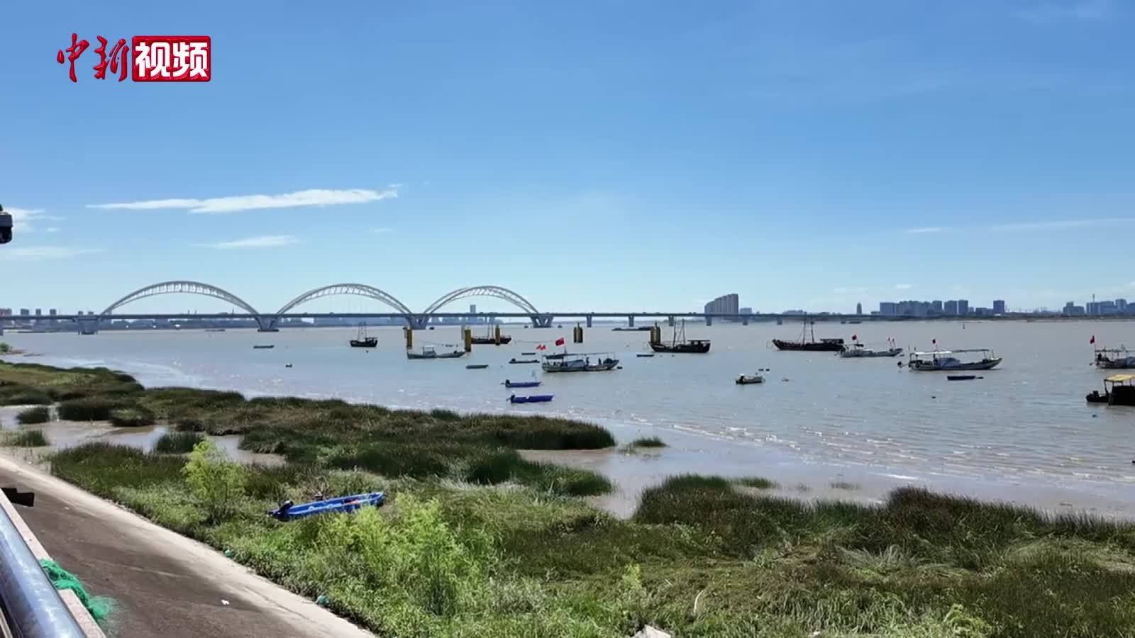 浙江杭州钱塘江结束禁渔期
